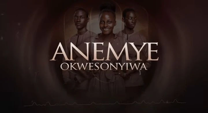 Anemye Okwesonyiwa